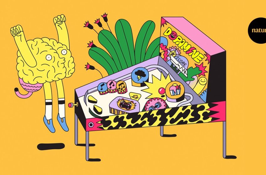  how neuroscience is rethinking the ‘feel-good’ chemical