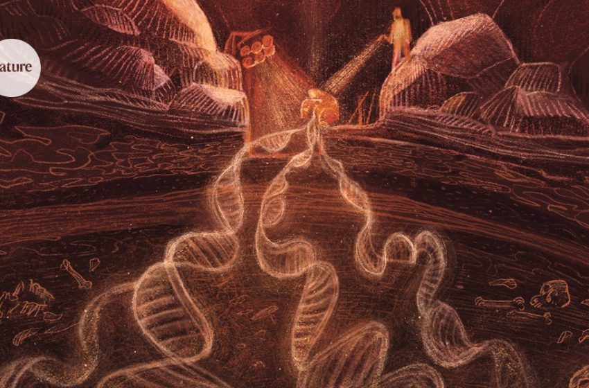  How DNA in dirt is shaking up the study of human origins