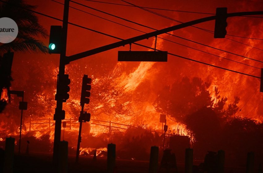  The world just lived through the 11 hottest years on record — what now?