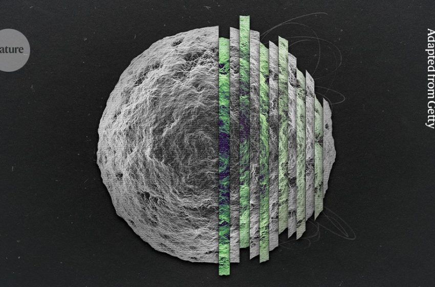  dissecting the body’s battle to keep selfish genes in check