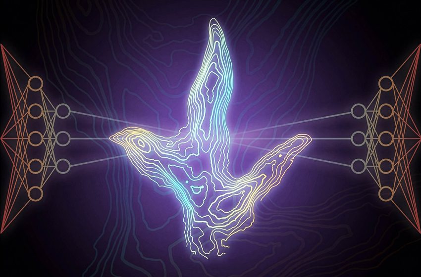  AI tool for dinosaur tracks makes unexpected bird origin discovery