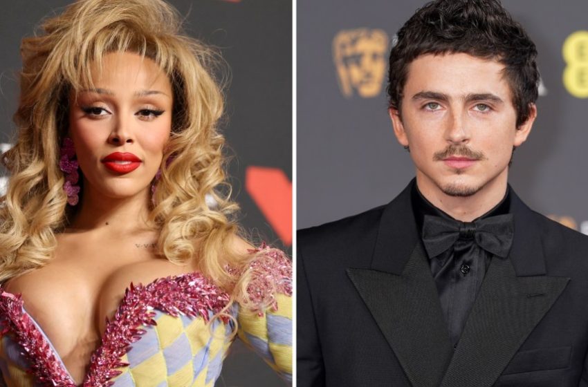  Doja Cat Takes Back Timothée Chalamet Criticism Over Ballet, Opera Diss