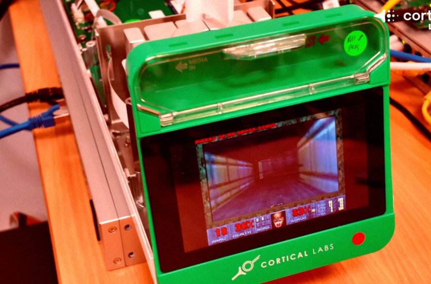  Researchers Get Human Brain Cells Running Doom