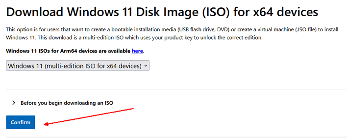 download windows 11 disk image