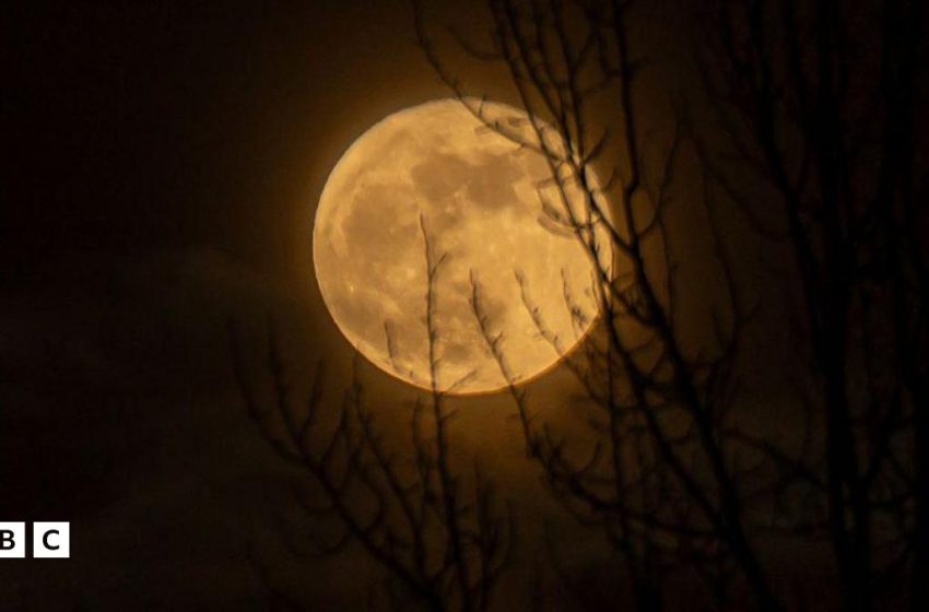  Worm Moon 2026: When can you see March’s full Moon and why is it special?