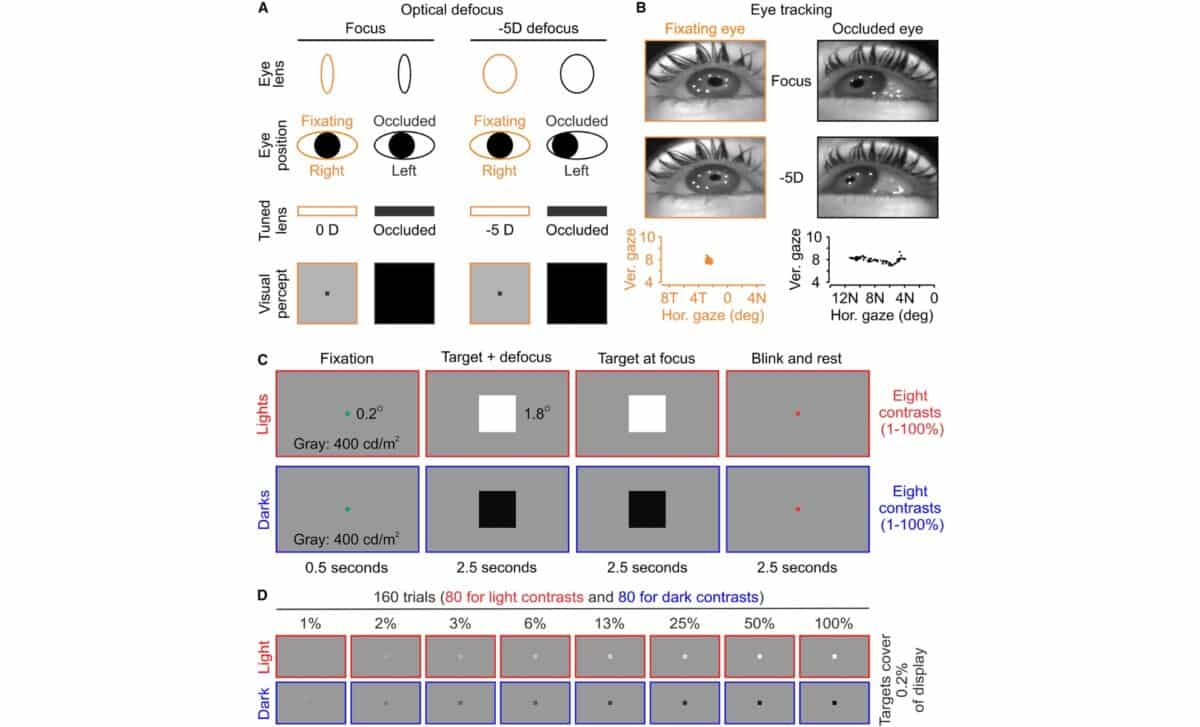 Experimental Approach