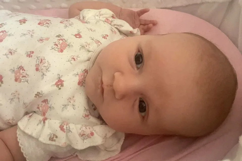 Daisy.Credit: Kennedy News & Media