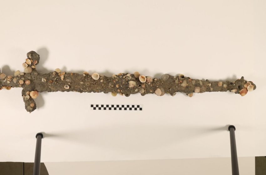  The sword in the sea: How one lucky graduate student found his second Crusader sword while taking a swim off Israel’s coast