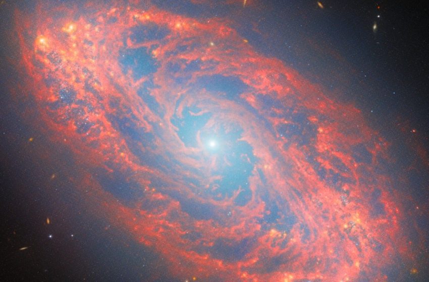  Spectacular spiral galaxy revealed by James Webb Space Telescope photo of the day for March 4, 2026