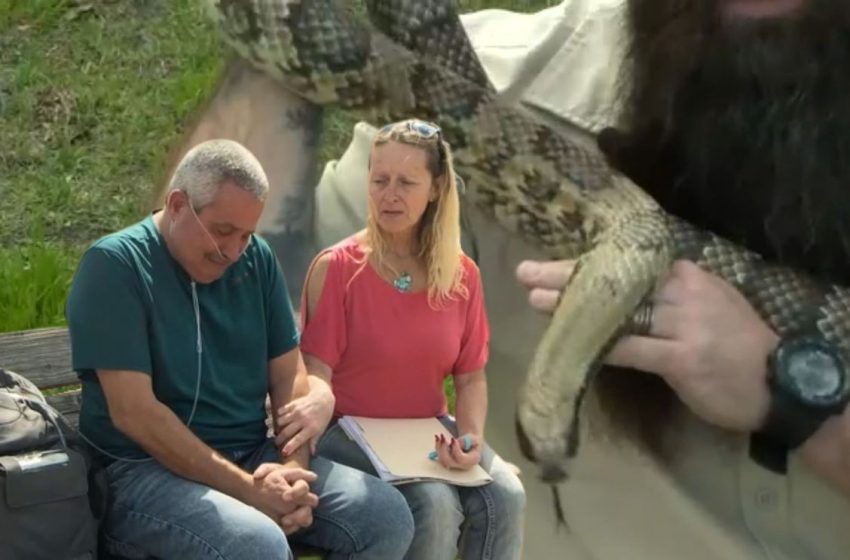  Honeymoon cottonmouth bite leaves Florida man with life-threatening lung disease