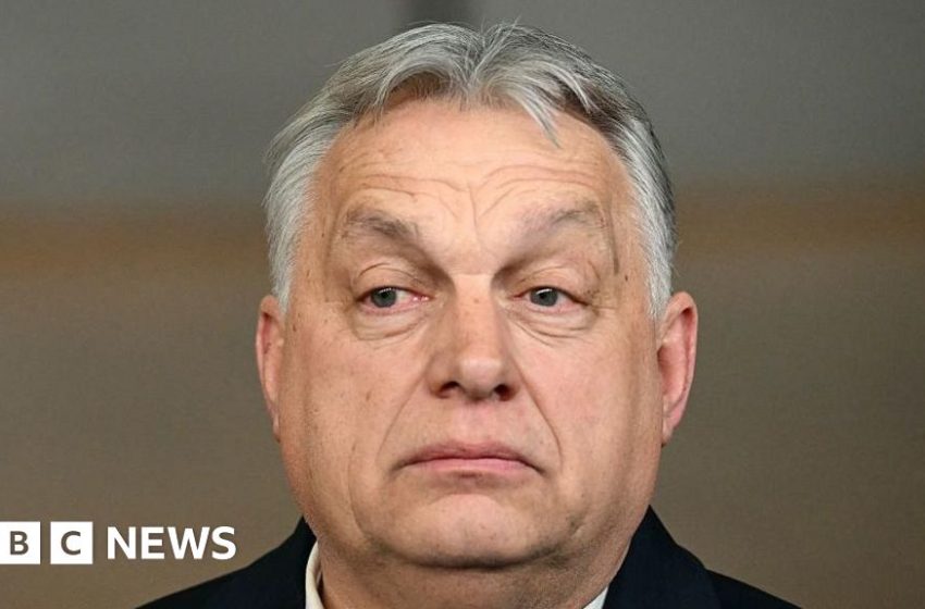  Hungary's Orbán accused of disloyalty and blackmail over Ukraine loan veto – BBC