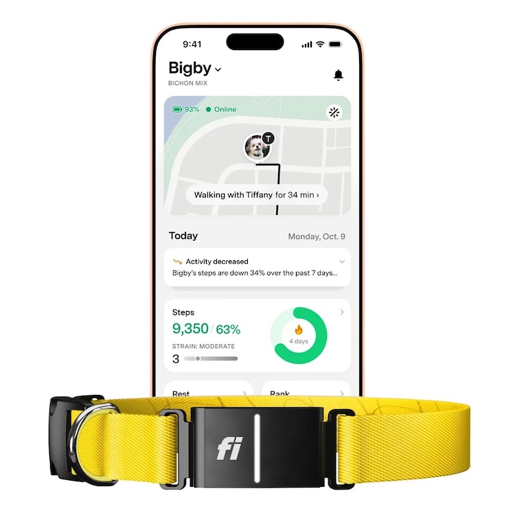 Fi Series 3+ Smart Dog Collar