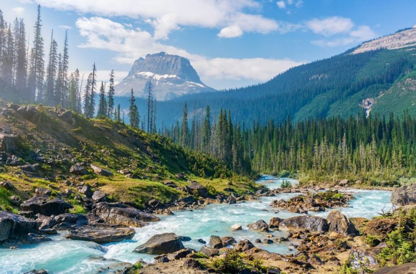  What happens to your brain in nature? The neuroscience explained