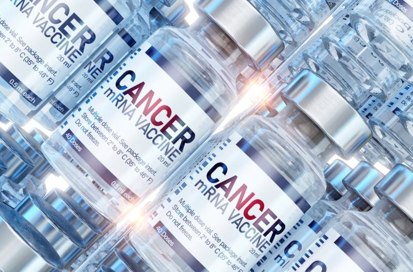  A man used AI to help make a cancer vaccine for his dog – an oncologist urges caution