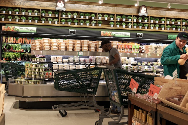 A person pushes a cart through a grocery store.