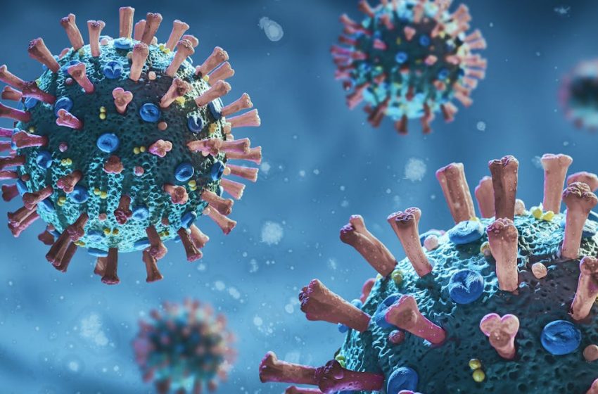  COVID-19 variant BA.3.2 is spreading quickly across US – a doctor explains what you need to know