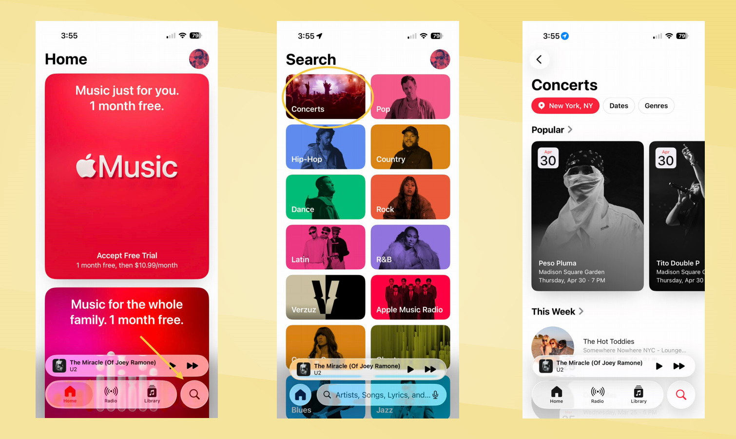 iOS 26.4 Concert search screenshots.