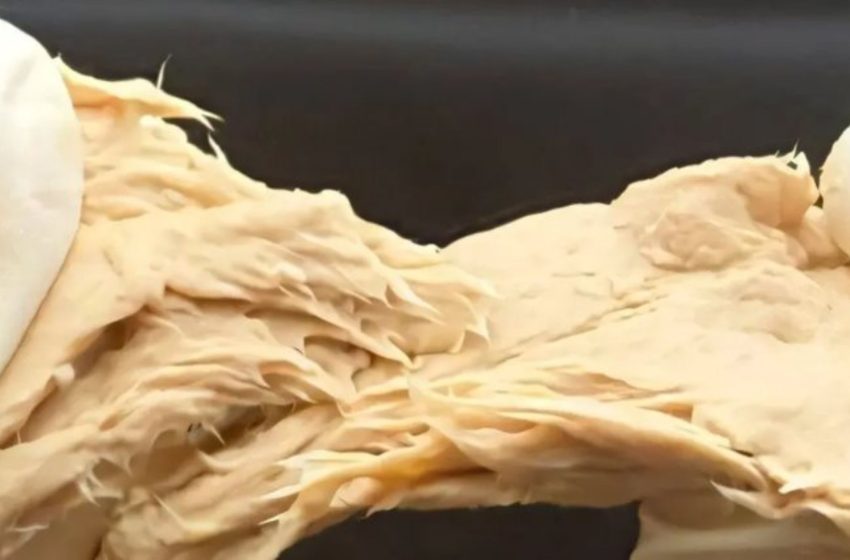  Gene-edited fungus from China is revolutionizing the food industry