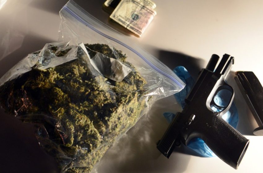  The Supreme Court appears likely to let stoners own guns, in US v. Hemani