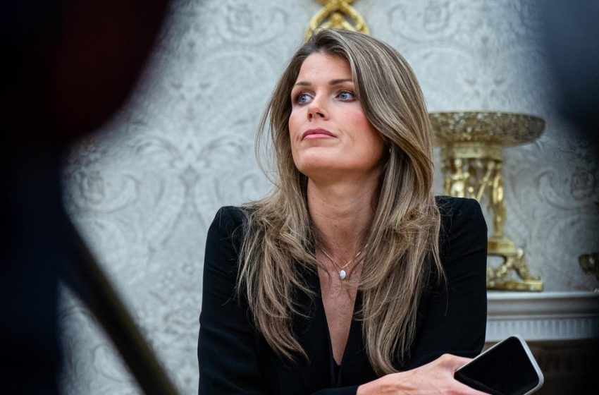  Lindsey Halligan under investigation by the Florida Bar