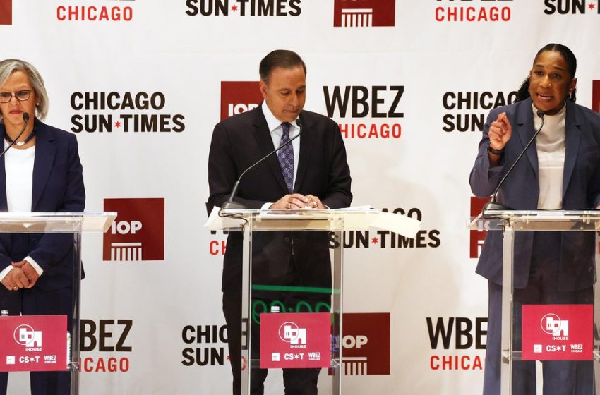  Illinois Senate primary race is test of Pritzker’s sway, Democrats’ views of ICE, outside spending