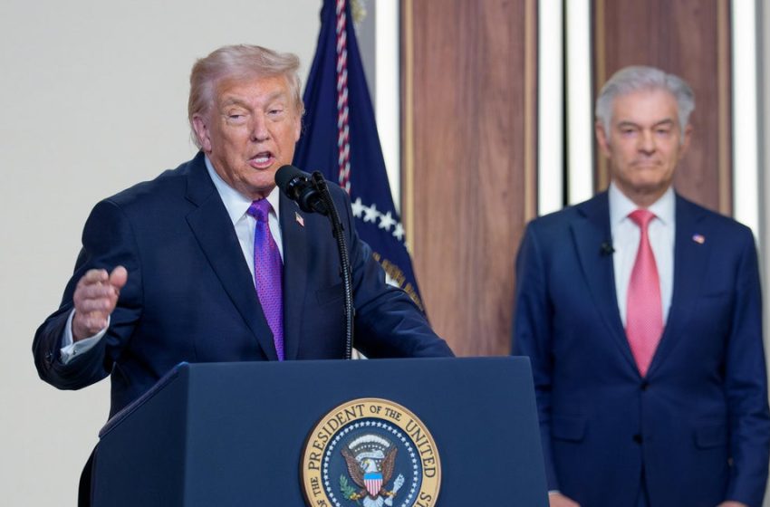  States pay Deloitte, others millions to comply with Trump law to cut Medicaid rolls