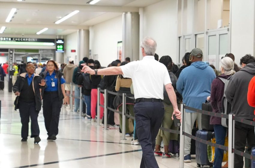 Over a third of TSA officers call out at 3 major U.S. airports in single day as ‌funding standoff continues