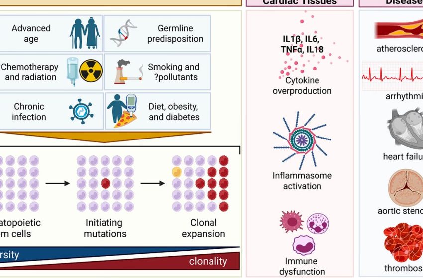 The Missing CHIP – by Eric Topol