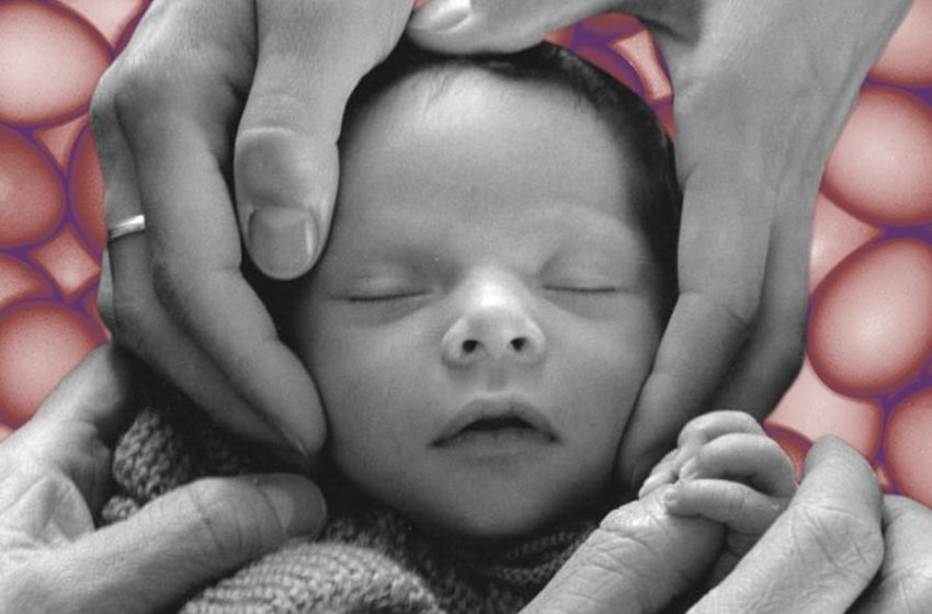  Can Man-Made Eggs Be the Future of Fertility?