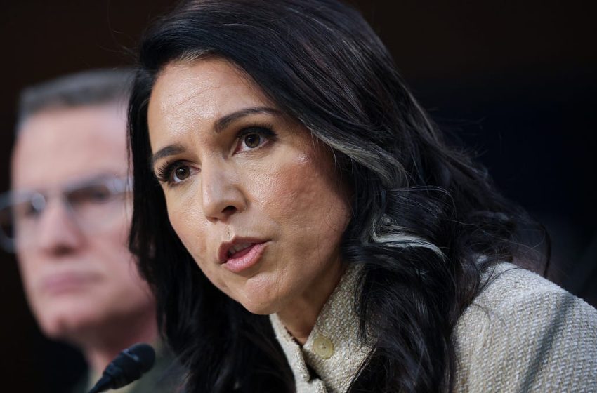  Tulsi Gabbard: Director of National Ignorance
