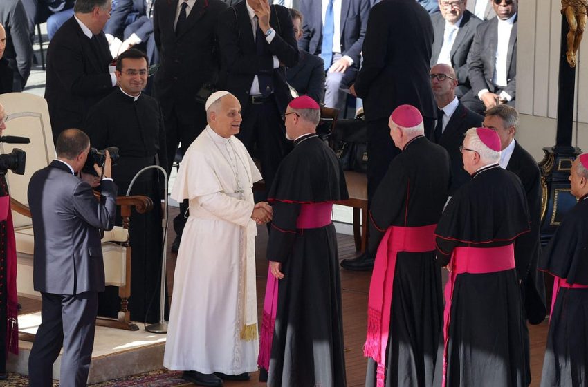  Pope Leo announces October gathering for ‘synodal discernment’ on Amoris laetitia