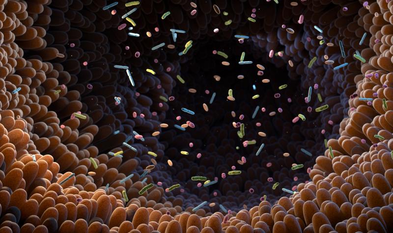  Antibiotic use linked to ‘persistent’ gut microbiome changes