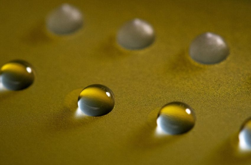  This Fungus Can Make Water Freeze