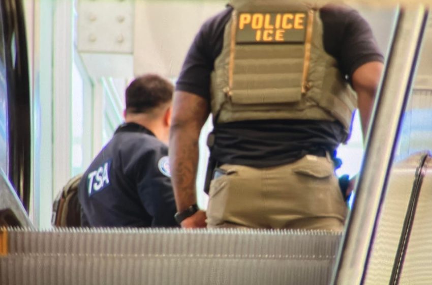  ICE agents seen at Chicago O’Hare International Airport amid long TSA wait times and lines