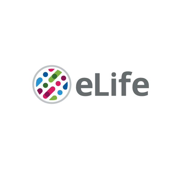  Movie reconstruction from mouse visual cortex activity