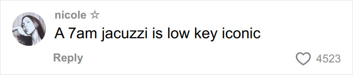 Screenshot of a social media comment reading a 7am jacuzzi is low key iconic with 4523 likes, discussing full time job. Screenshot of a social media comment reading a 7am jacuzzi is low key iconic with 4523 likes, discussing full time job.
