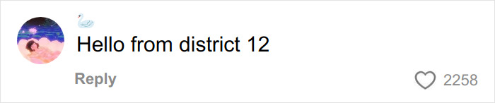 Comment saying Hello from district 12 with a swan emoji and 2258 likes on a social media platform. Comment saying Hello from district 12 with a swan emoji and 2258 likes on a social media platform.