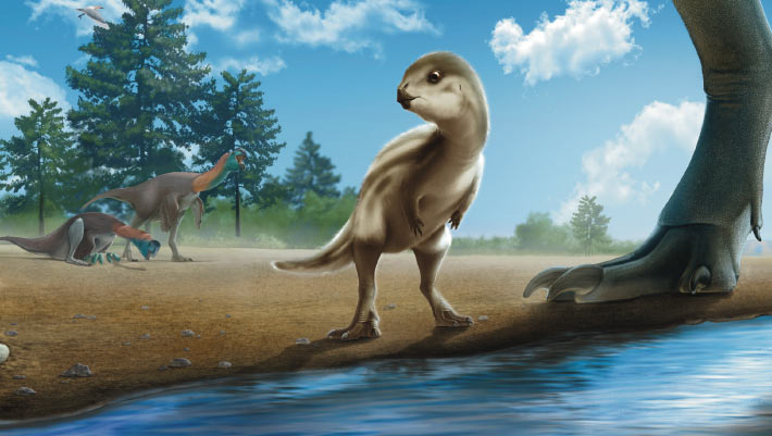  New Species of Plant-Eating Dinosaur Unearthed in Korea