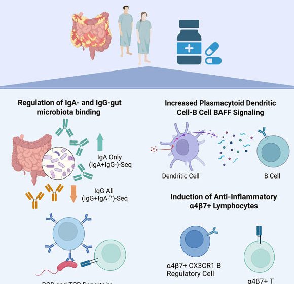  Vitamin D Shows Promise in Resetting Immune System in Inflammatory Bowel Disease