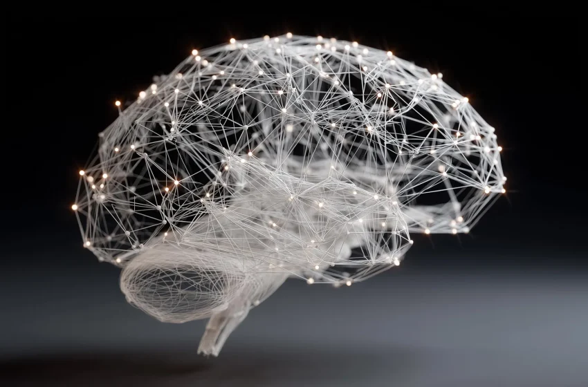  Intelligence emerges when the whole brain works as one