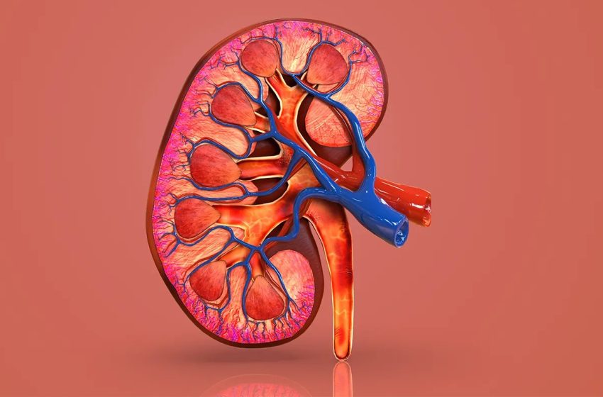  Veterans: Make kidney disease screening a priority