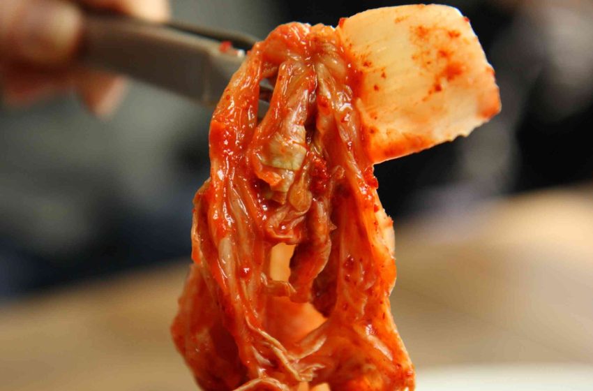  Bacteria found in kimchi helps rid your body of microplastics