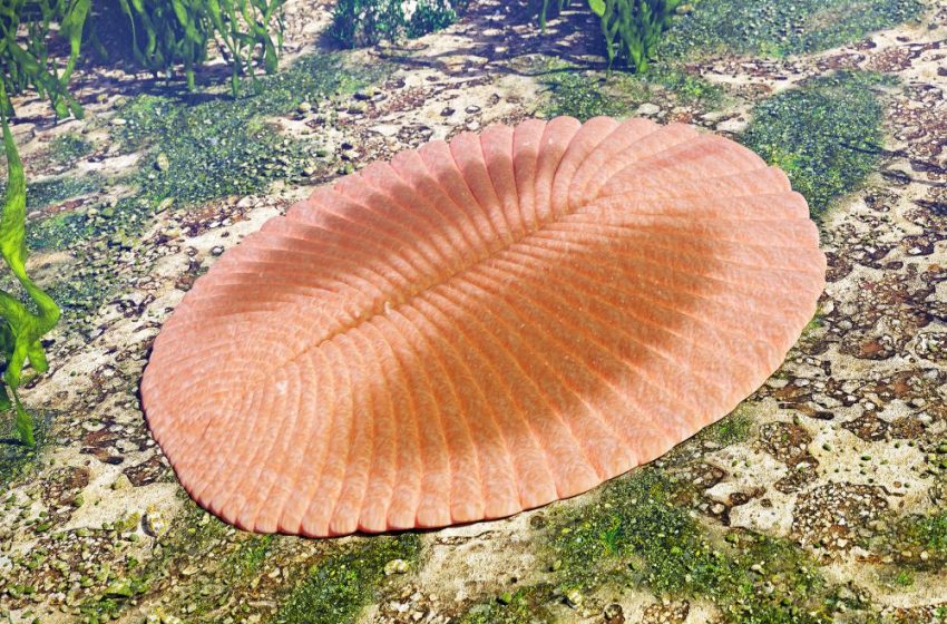  Earth’s first mass extinction may have been far worse than believed