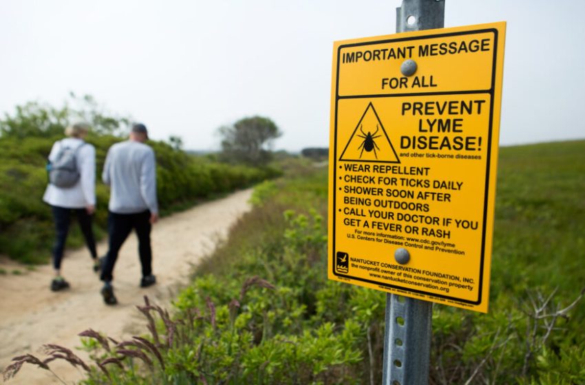  Lyme disease vaccine reduces risk by more than 70% in study