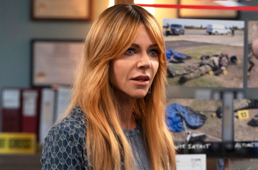  High Potential Season 3 Renewed At ABC, Showrunner Todd Harthan Leaving