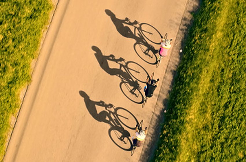  Humans Riding Bikes Are More Energy-Efficient Than Any Other Animal On The Planet