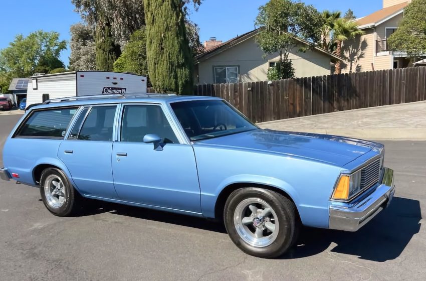  At $17,900, Will This 1981 Chevy Malibu Wagon Madly Do?