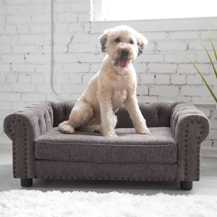 La-Z-Boy Newton Pet Sofa