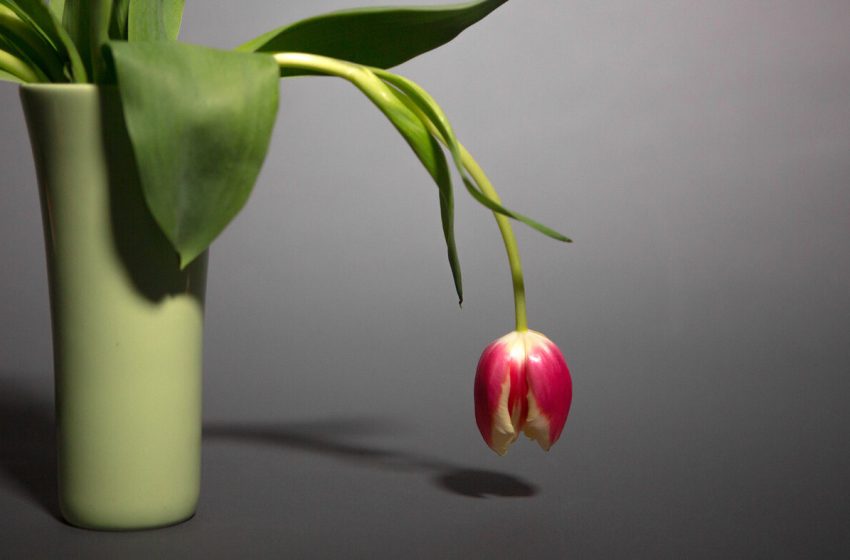  Always tired? Here are 7 natural ways to boost your energy : NPR