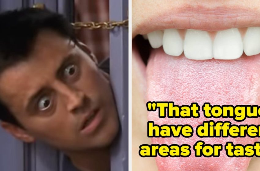 15 Facts You Learned In School That Have Since Been Disproven